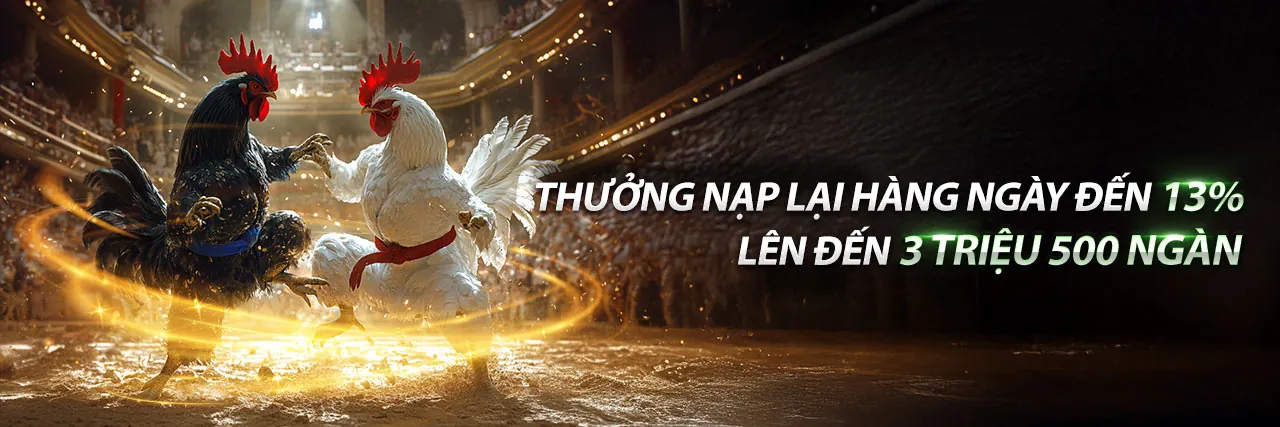 Dịch vụ hỗ trợ khách hàng i9bet70 nhà cái